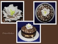 /album/kvetinove/coko-pivonka-jpg/